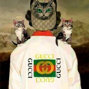 Meet your Posher, Alfredo